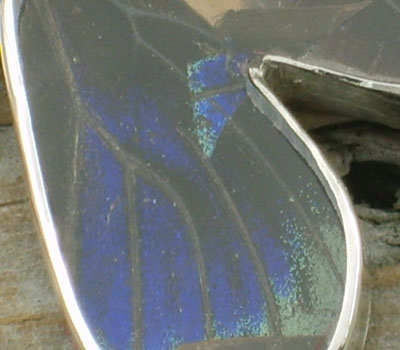 butterfly wing pendant peruvian c (10).jpg